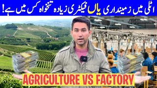 Agriculture Seasonal Jobs Vs Factory Jobs Italy🇮🇹  AdeelJameelGlobal [upl. by Aleahc]