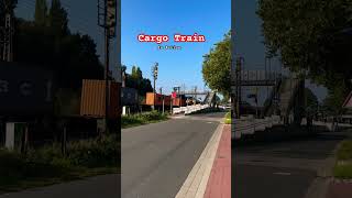 🚉 Sagehorn  Oyten cargotrain cargo gutterzug barbie bremen hamburg [upl. by Yadahs599]