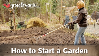 How to Start a Garden [upl. by Akimaj350]