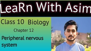 10th biology chapter 2  Peripheral nervous system  chapter 12 coordination and control [upl. by Bore]