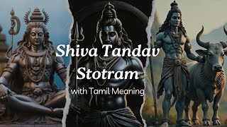 Shiva Tandav Stotram with Tamil Meaning [upl. by Annaerda]