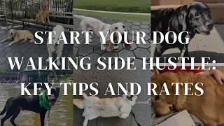 Start Your Dog Walking Side Hustle Key Tips and Rates  Dog Walking 101  How to Get Clients [upl. by Edik]