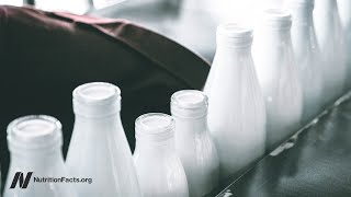 The Effects of Hormones in Dairy Milk on Cancer [upl. by Kellen]