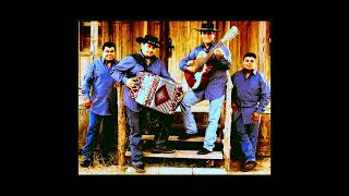 Los Palominos Rockola Tejano Mix [upl. by Eadmund48]