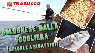 Trabucco TV  Canna bolognese dalla scogliera [upl. by Ettelrahc]