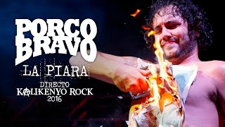 Porco Bravo  La piara Directo Kalikenyo Rock XI 2016  El Resurgir [upl. by Eekram]