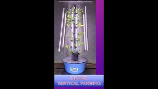 Aeroponic Vertical Indoor Farming In India [upl. by Llehcam]