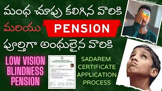 మంధ చూపు గలవారికి పెన్షన్  ఒక్క కన్ను పెన్షన్  Blindness Pension  SADAREM  Low Vision Pension [upl. by Jaala]