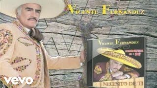 Vicente Fernández  Necesito De Ti Cover AudioVideo [upl. by Yeslrahc426]