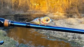 Tiny Cutthroat Trout Jointed CrankBait  One Day Build to Catch [upl. by Neyu203]