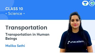 Transportation  Transportation in Human Beings  Class 10  Biology  Malika Sethi [upl. by Aman]