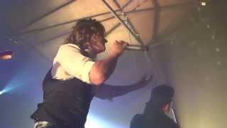 Kissin Dynamite  Fireflies live 2014 [upl. by Odrick]