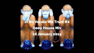 DJ MT  In No Vocals We Trust 2 Deep House Mix  16 January 2019 [upl. by Anirav]