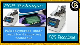 DNA Extraction Part3 PCR Polymerase Chain Reaction PCR Basic Principles and Data AnalysisPCR [upl. by Kumler889]