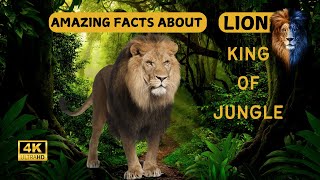 Amazing Information About Lions [upl. by Khudari]