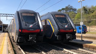 TRENI PASSEGGERI A MONSELICE FRECCIAROSSA Italo e TAF Trenitalia [upl. by Genaro]