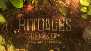 Rituales de México  Voladores de Papantla [upl. by Kwei]