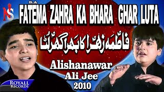 Ali Shanawar amp Ali Jee  Fatima Zehra Ka Bhara Gher Luta  2010 [upl. by Jonell]