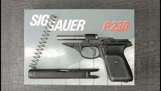 Sig P230 Full Disassembly amp Reassembly Pt 2 [upl. by Ras529]