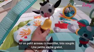 Tapis déveil Kick N Play de Tiny Love [upl. by Ellissa]