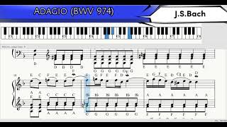 🌏 Adagio BWV 974  JSBach BMCTHEBEST Piano Tutorial [upl. by Bess]