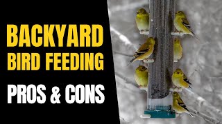 The PROS amp CONS of Backyard BIRD Feeding [upl. by Prevot]