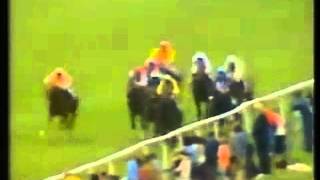 El Gran Senor The 1984 2000 Guineas Stakes Newmarket [upl. by Nmutua]