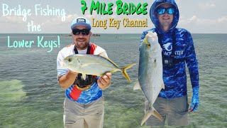 Lower Florida Keys BRIDGE Fishing 7 Mile Bridge and Long Key Channel [upl. by Novel]