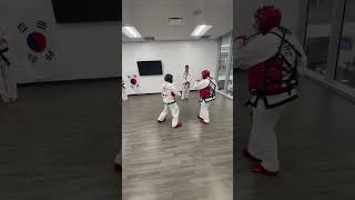 Black Belt Sparring martialarts taekwondo [upl. by Ibrab]