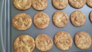 Quick and Easy Snickerdoodle Recipe  Ready to Eat in 20 Minutes [upl. by Ysle]