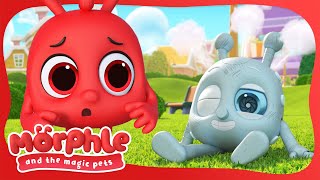 RoboPet 🤖  Morphle and the Magic Pets  Available on Disney and disneyjunior  BRAND NEW [upl. by Franzen856]