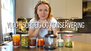 Vlog  Surdeig fermentering og konservering [upl. by Audri]