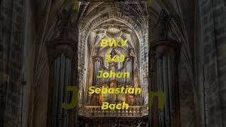 The TONE of Bachs BWV 540 Will BLOW Your Mind  Subscribe for more 👍 shorts organ [upl. by Gobert]