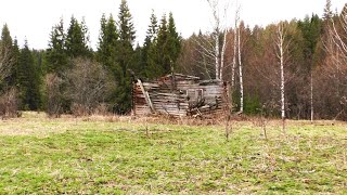 Ночуем в дождь и холод на урочище летняя палатка с печкой спасла ситуацию №235 [upl. by Algar697]