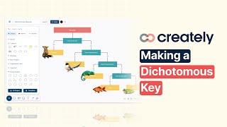 How to create a Dichotomous Key with Creately [upl. by Quinlan]