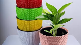 Plastic Round Plant Pots For Indoor plants meesho meeshounboxing plants plantpots unboxing [upl. by Tressa697]