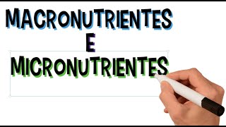 O Que São Macronutrientes e Micronutrientes Para Que Servem  Funções  Diferenças  Resumo [upl. by Nogem]