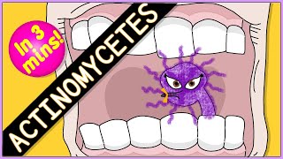 Actinomycetes Microbiology Morphology pathophysiology symptoms diagnosis treatment [upl. by Amary]