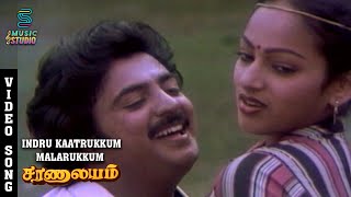 Indru Kaatrukkum Video Song  Saranalayam  Mohan  Nalini  MSViswanathan  Music Studio [upl. by Yslek]