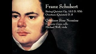 Quatuor Sine Nomine  Franz Schubert String Quintet in C Major  Op 163 D 956 [upl. by Clippard810]