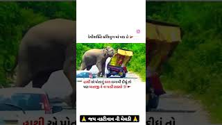 🙏 જય નકટીવાવ ની મેલડી 🙏 meldi youtubeshorts mavtarmaavihatmeldimaa [upl. by Adeuga]