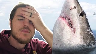 Fish Biologist reacts to quotTop 5 Megalodon Sightingsquot [upl. by Elbam518]