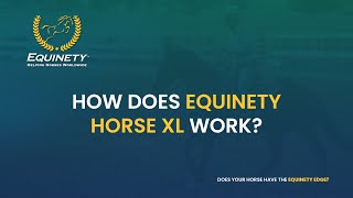 How Does Equinety Horse XL Work  Equinety FAQs [upl. by Eeldivad497]