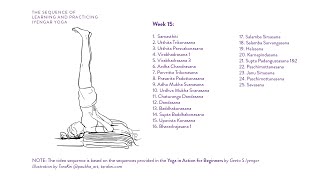 Week 15 Learning and Practicing Iyengar Yoga for Beginners [upl. by Eojyllib504]