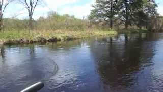 May Float Trip Fly Fishing for Smallmouth Bass on Namekagon River [upl. by Breh716]