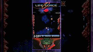 Salamander  Life Force NES stage 2 lifeforce salamander [upl. by Ashby359]