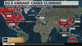 A new COVID19 variant pushes up cases in the US [upl. by Namus]