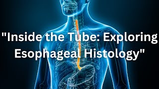 Esophageous  Nutrition amp GIT Module  Systemic Histology [upl. by Sirred]