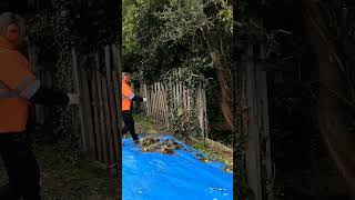 Smashing Old Fence Down gardening landscaping fencing [upl. by Volding]