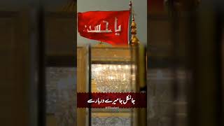 shia yahussainعnadeemsarwar unfrezzmyaccount youtubeshorts wilayati leaderkarbala ziyarat [upl. by Nniw]